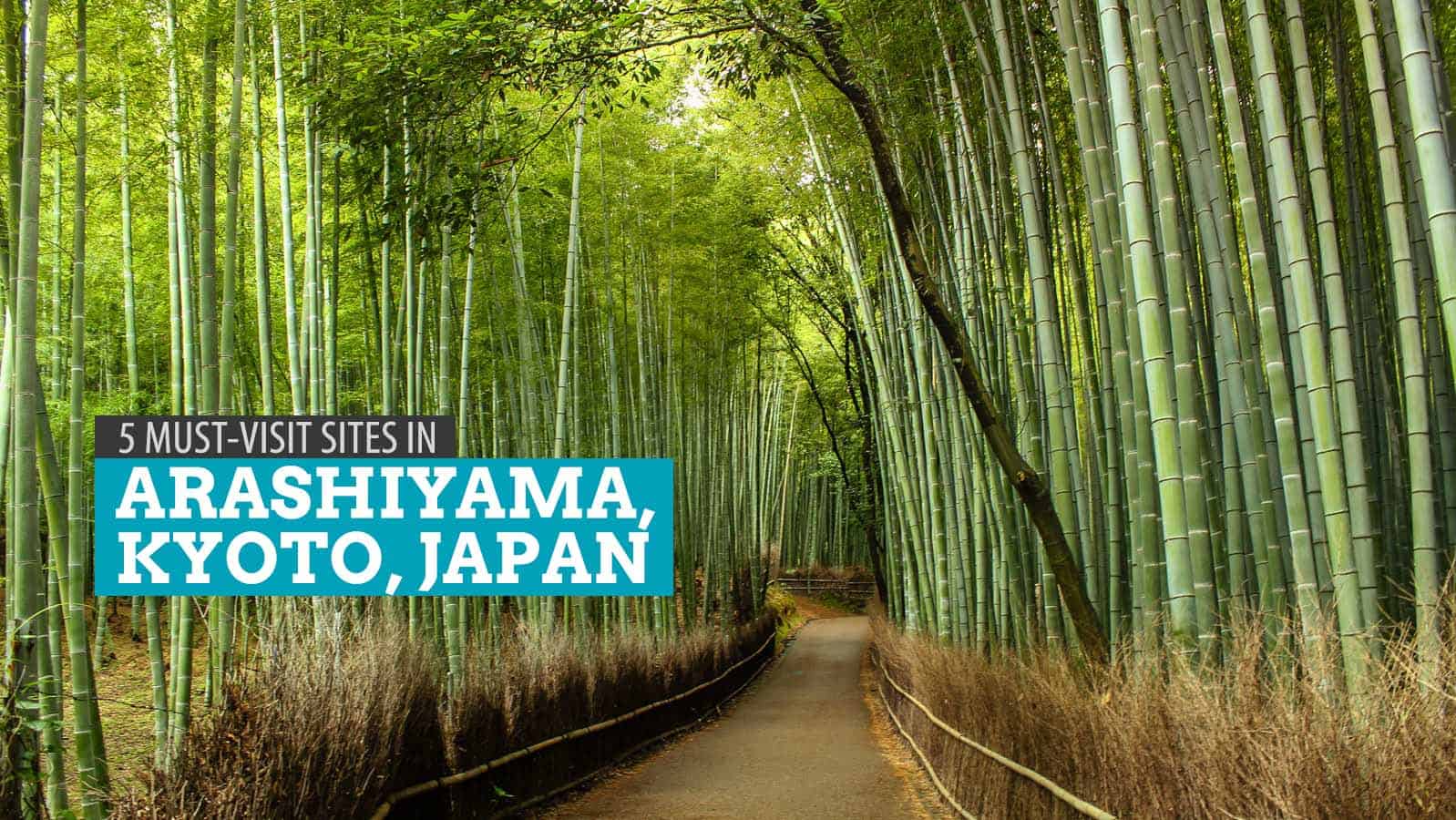 ARASHIYAMA, KYOTO: A DIY Walking Tour