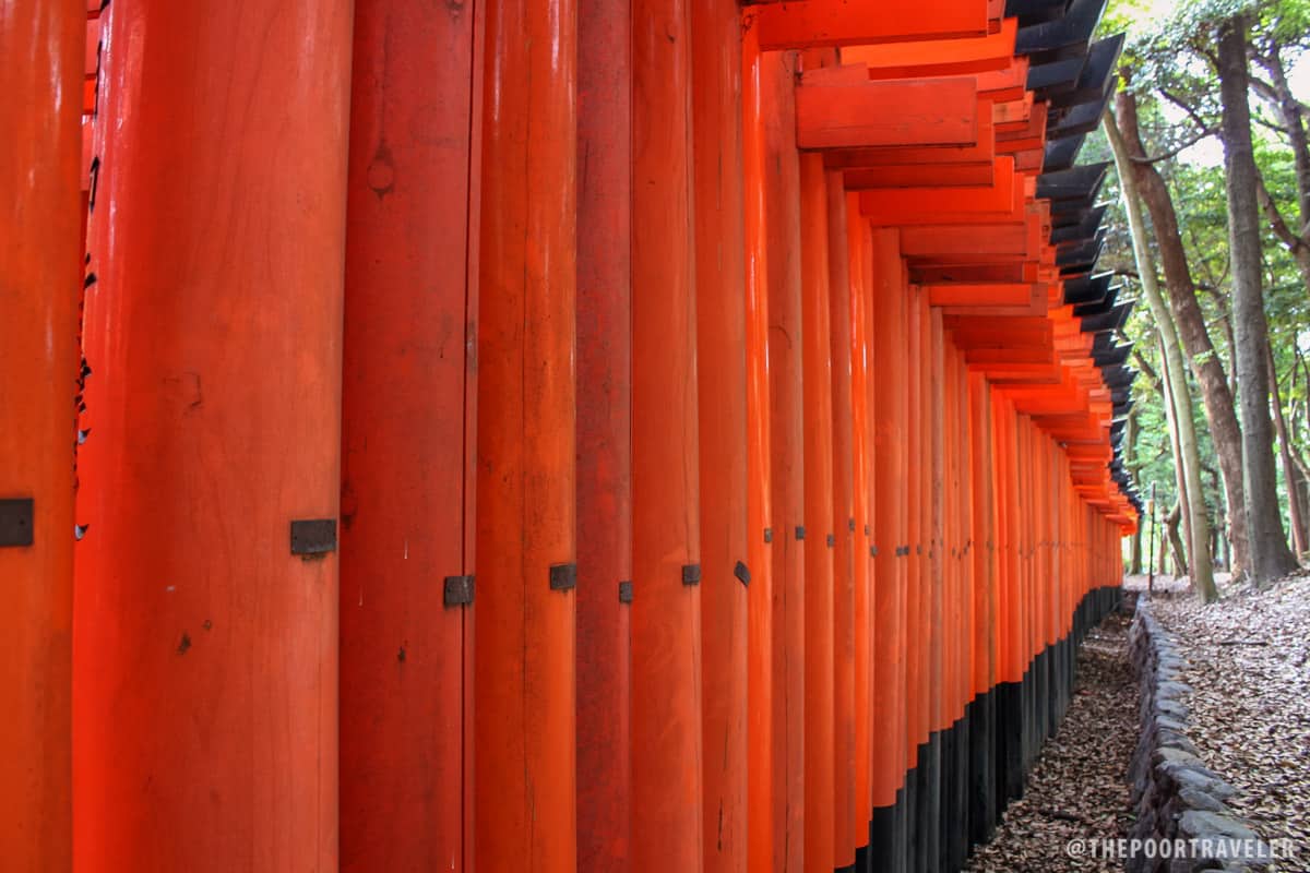 Orange dominoes! 