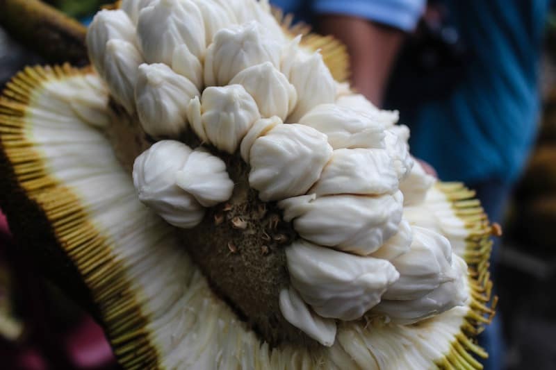 First Taste of Marang Fruit – South Cotabato, Philippines