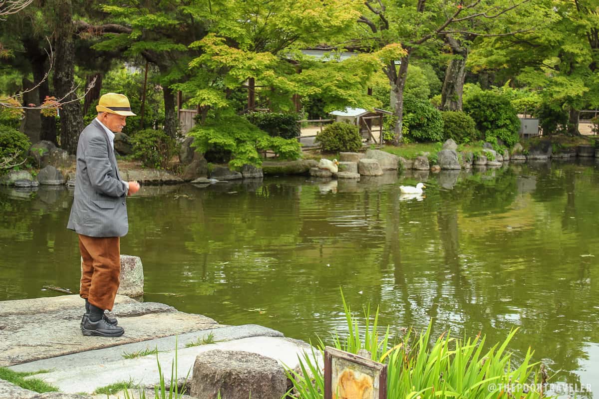 A man feeding the water fowl