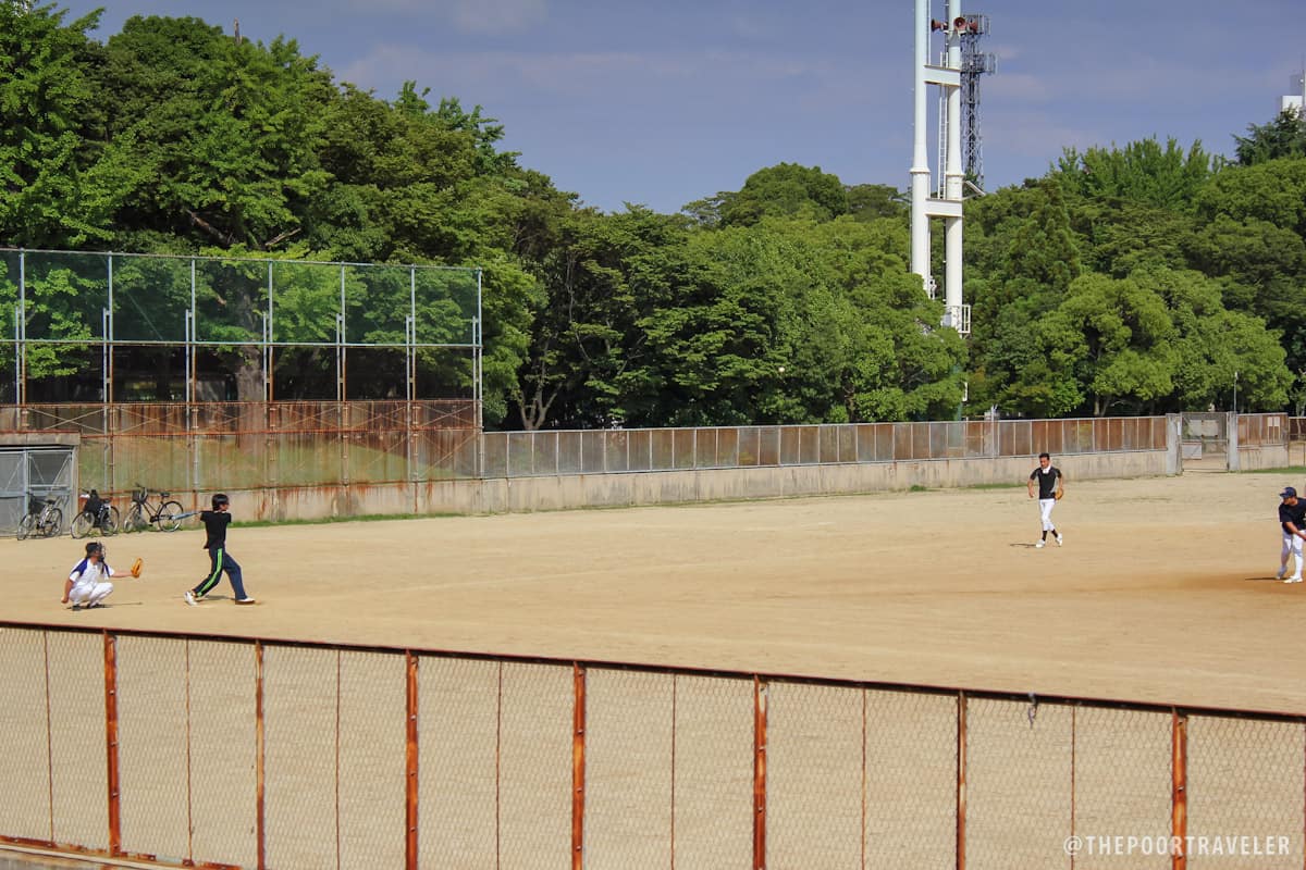 A baseball game happening at the park