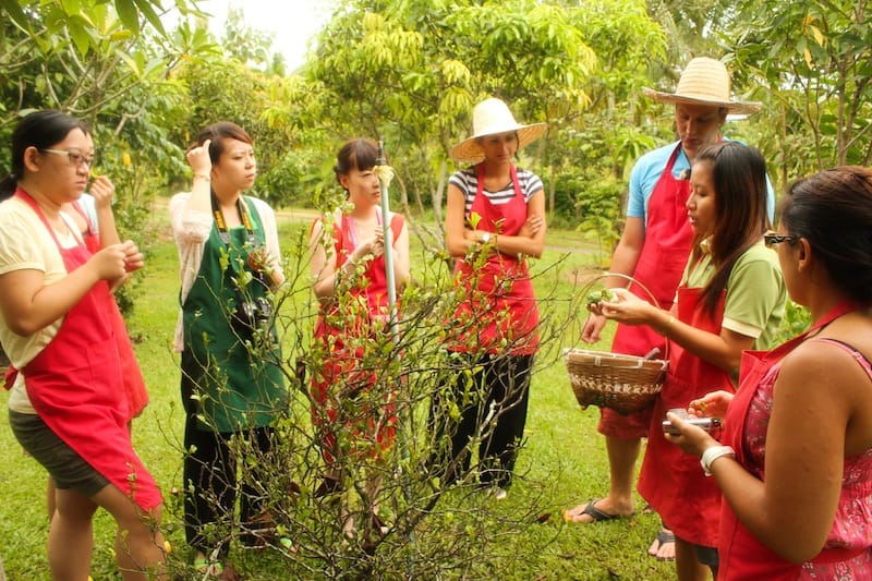 Everyone gathered around a kaffir lime tree coz we'd never seen one before.