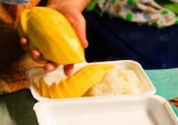 Mango Sticky Rice