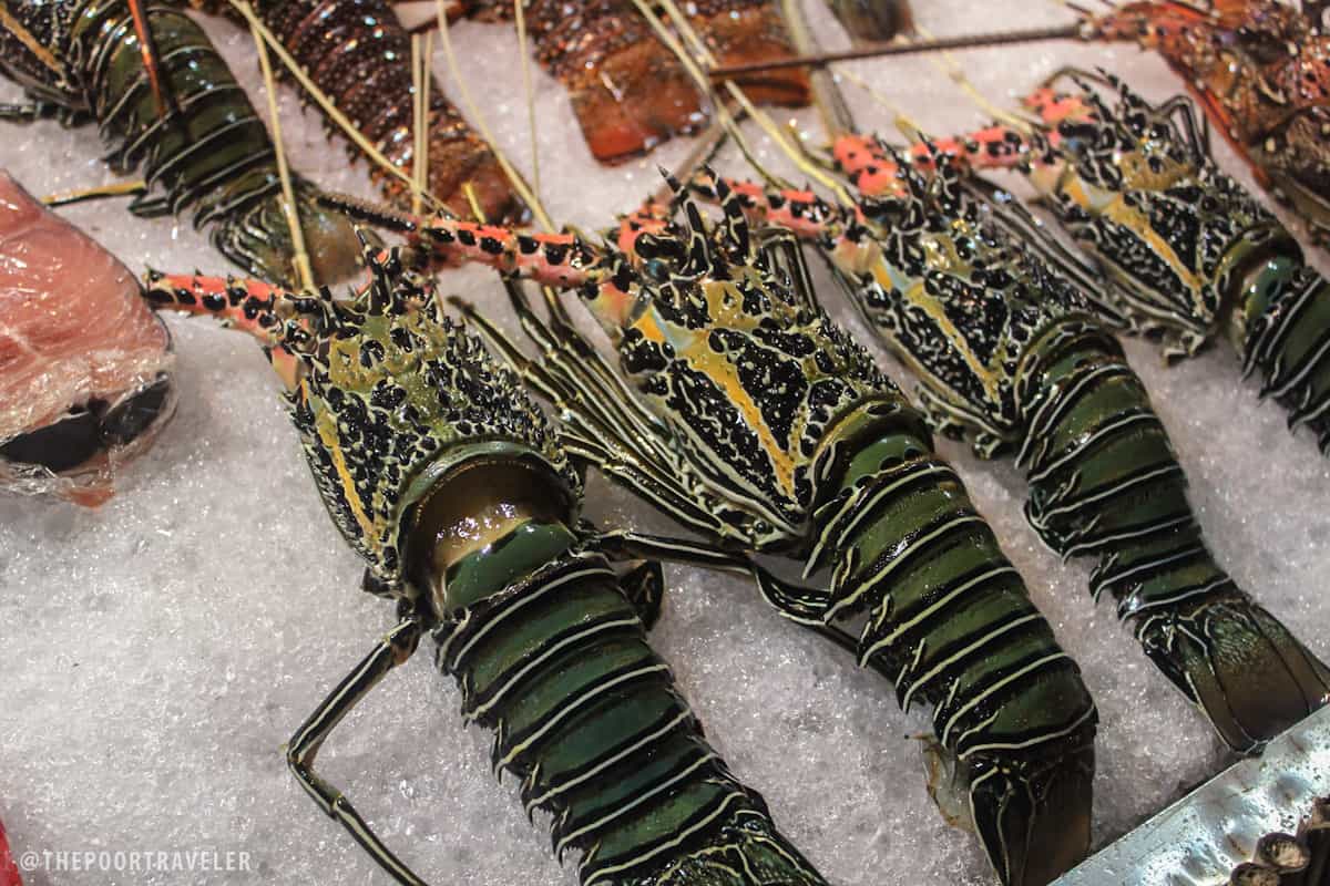 ملونة جدا و yummmeh.