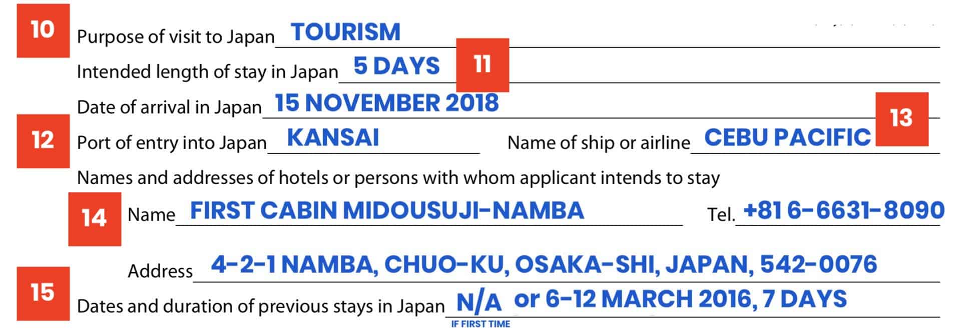 japan tourist visa application form multiple entry