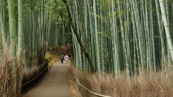 Snapshot: Lovers in Arashiyama Bamboo Forest – Kyoto, Japan