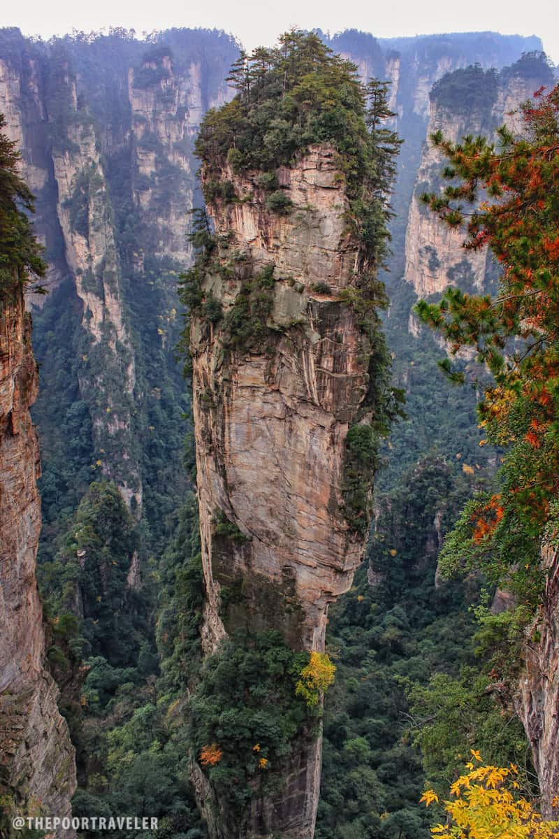 avatar hallelujah mountain