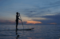 Standup Paddling and Skimboarding