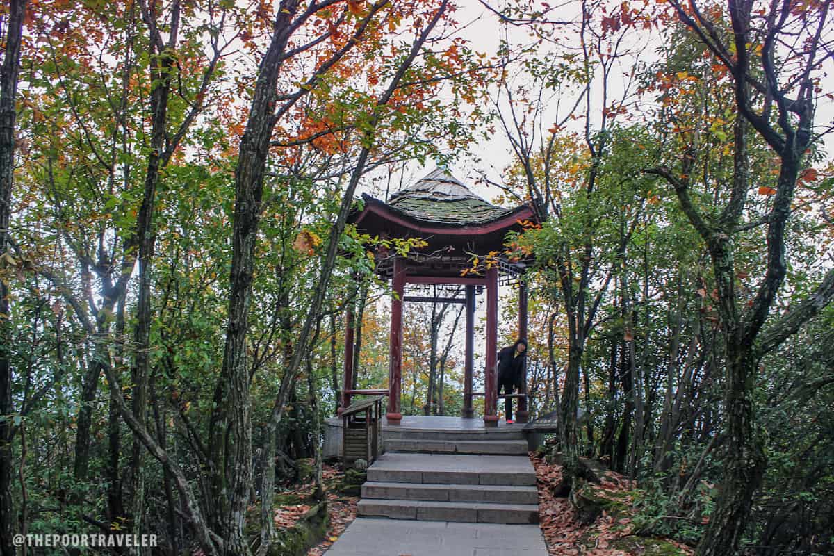 Tianzi Viewing Platform. "You'll regret it if you don't go this way," says the sign just before this gazebo. This marks the Tianzi Viewing Platform, which presents what many consider the best view in the area.