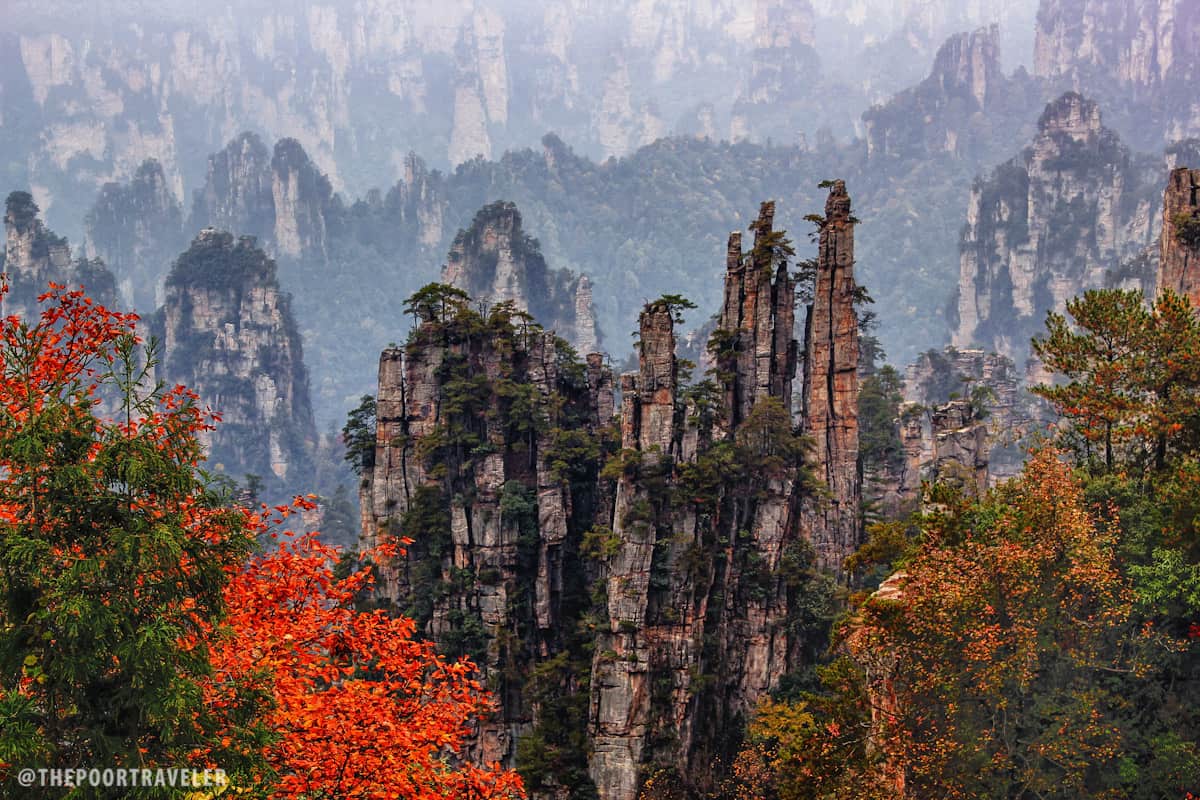 Yu Bi Peaks (Imperial Brush Peaks). The pine trees that crown this cluster of columns make it look like an enormous paint set.