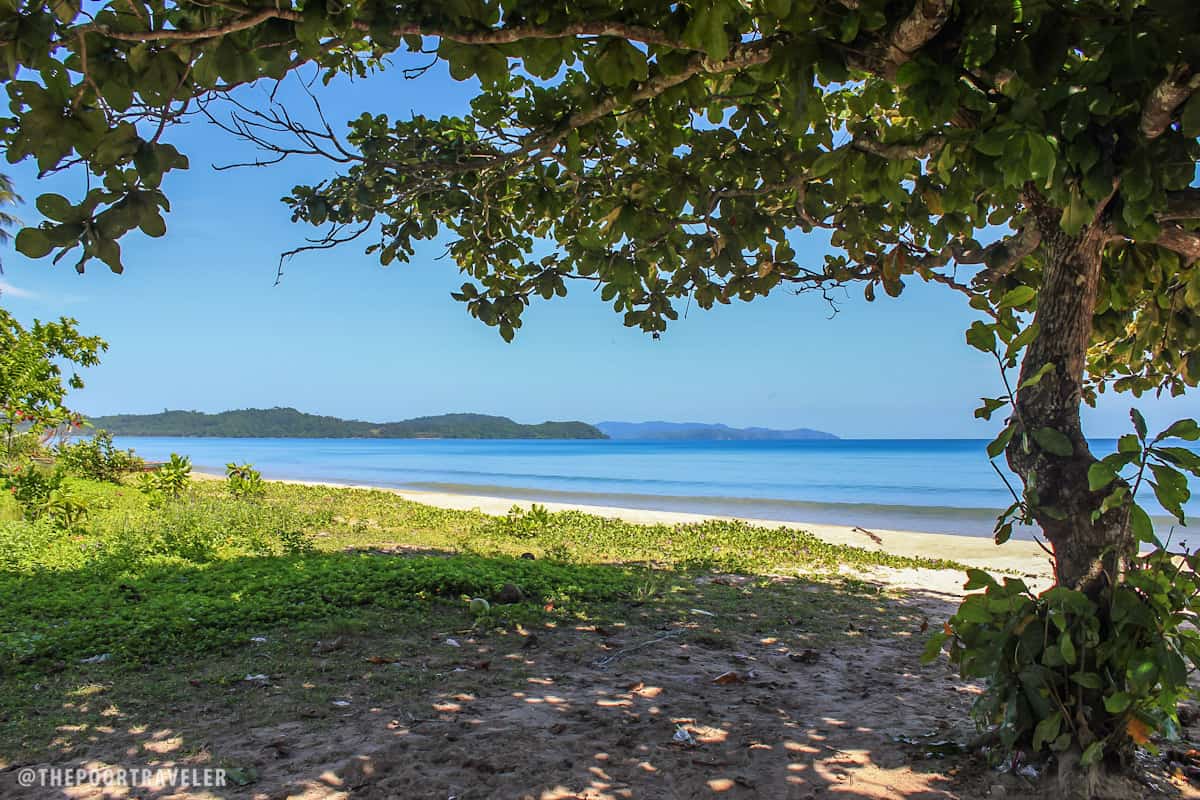 Talisay trees provide shade to beach bums