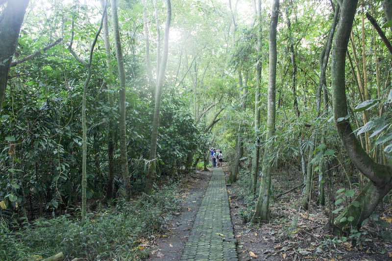 Baras Bird Sanctuary used to be a black peppercorn farm