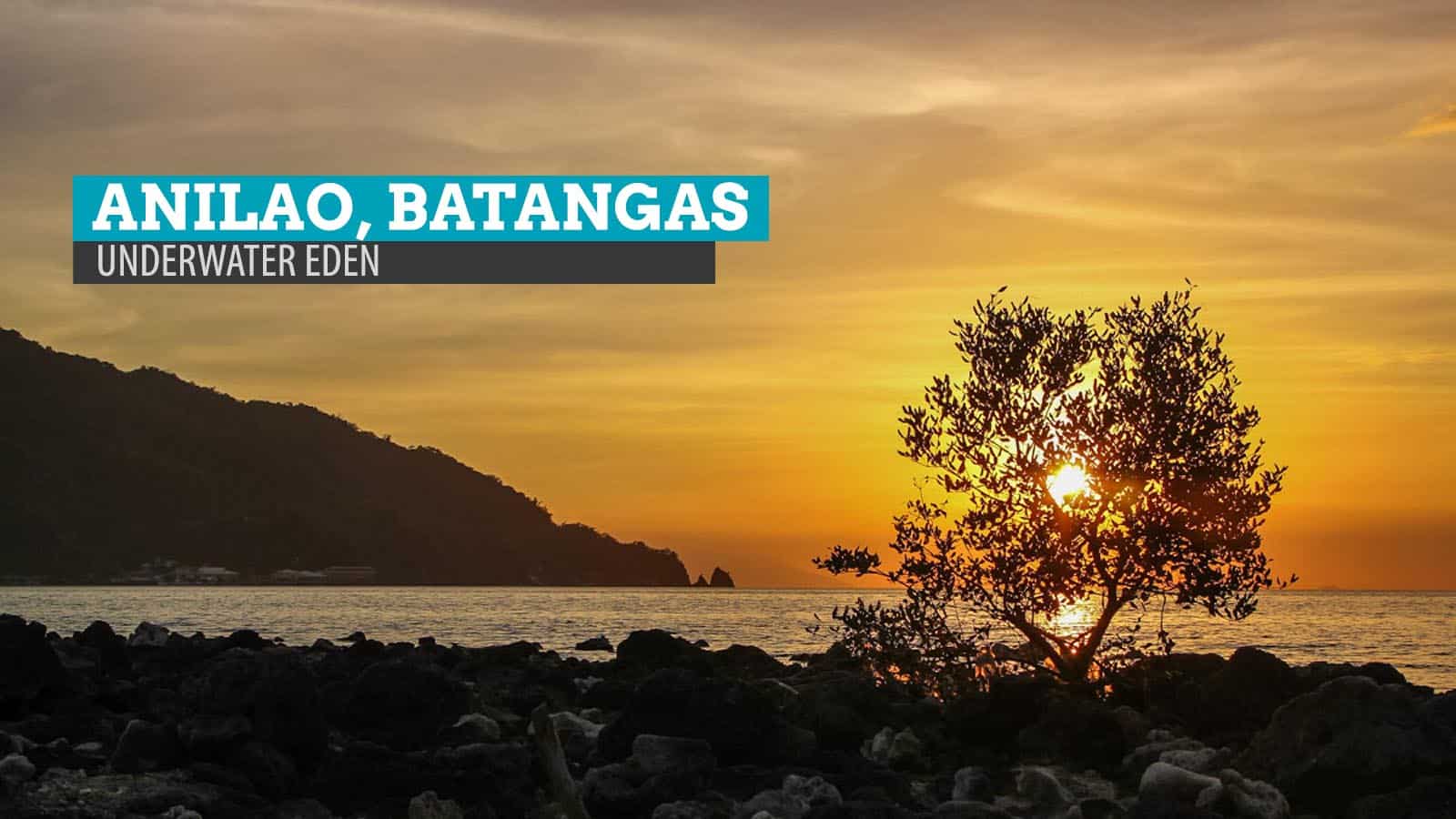 Anilao, Batangas: Above the Surface of an Underwater Eden