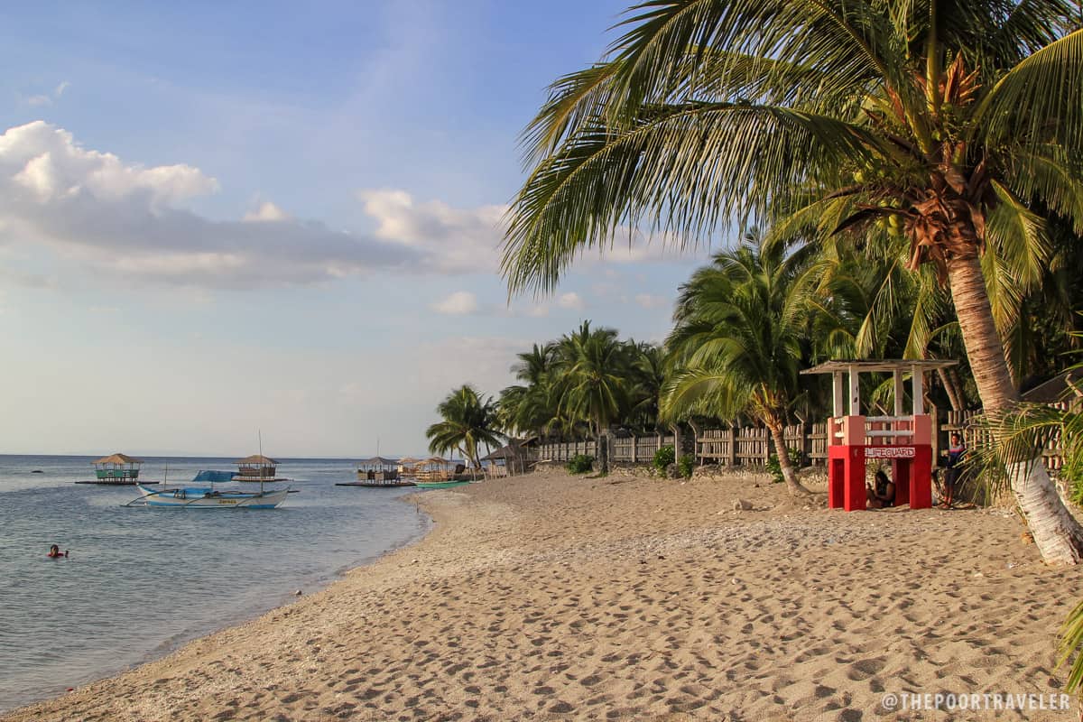 A beach resort in Anilao