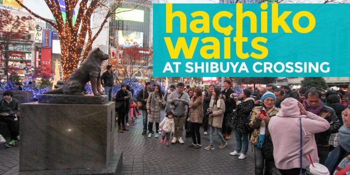 HACHIKO WAITS: The ‘Faithful Dog’ at Shibuya Crossing – Tokyo, Japan