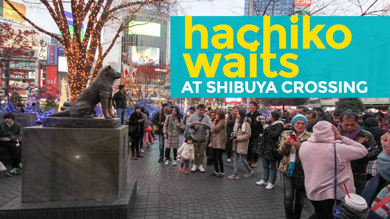 HACHIKO WAITS: The ‘Faithful Dog’ at Shibuya Crossing – Tokyo, Japan