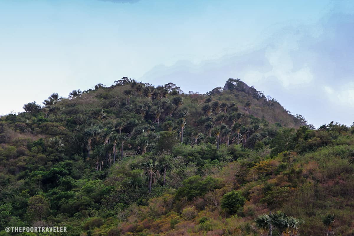 Mag-asawang Bato is a rock formation atop a peak overlooking Masasa Beach.