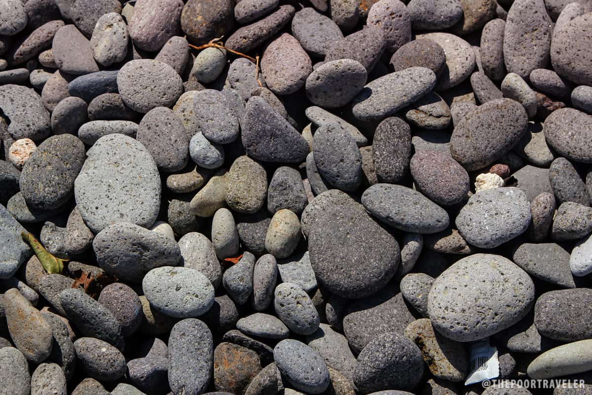 Small- to medium-size cobbles make up this unusual beach