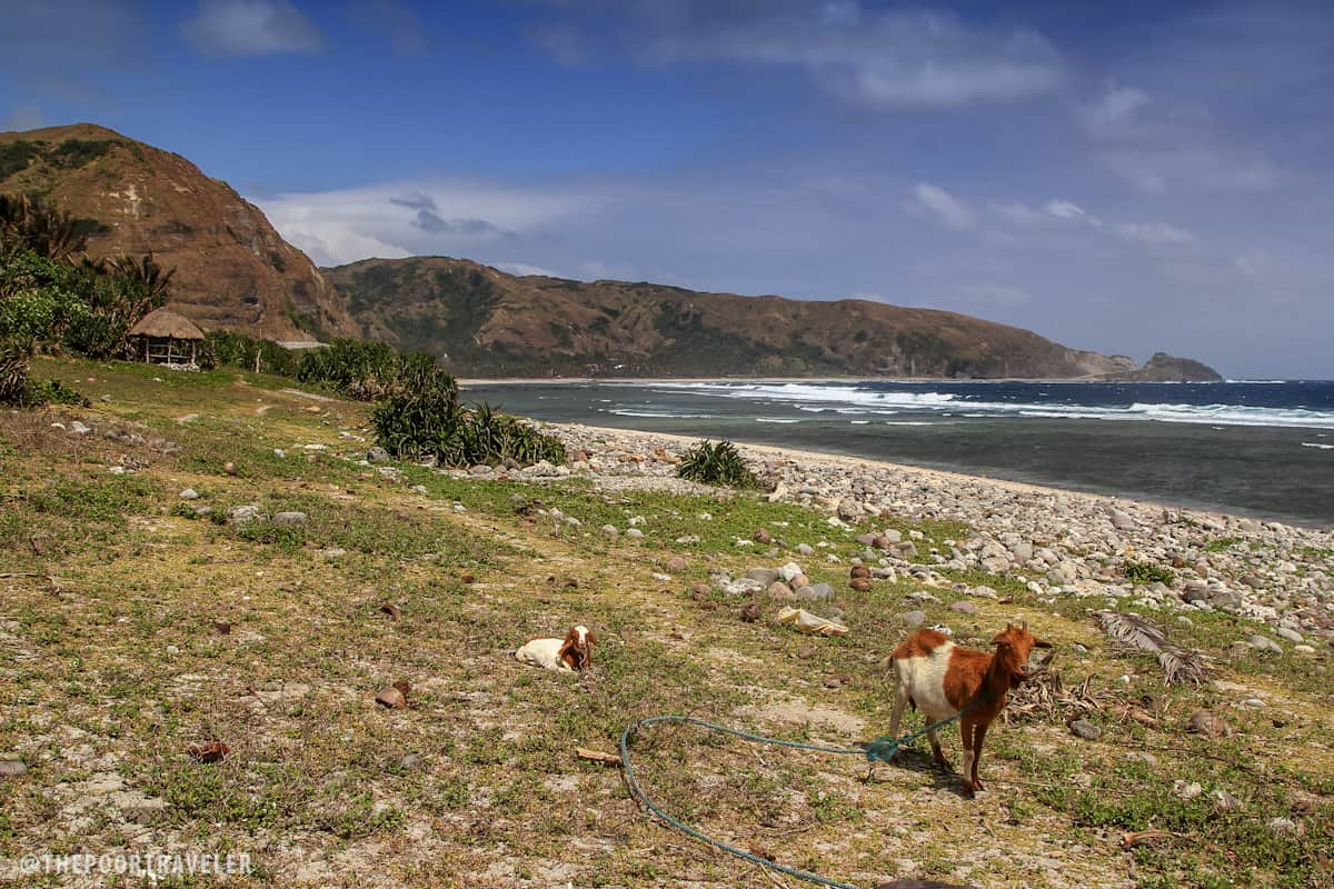 Songsong Beach