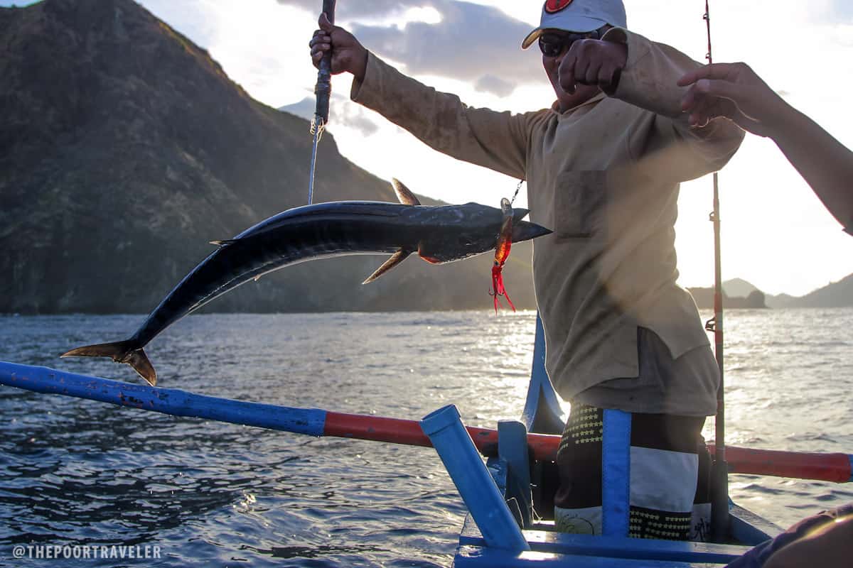 Randy, our boatman, reeling in a wahoo, our first catch!