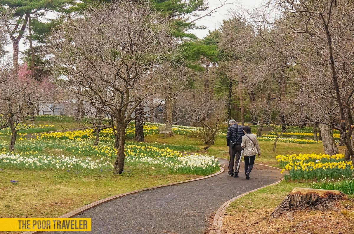 Despite the gloomy weather, a walk around the park can brighten up one's day!