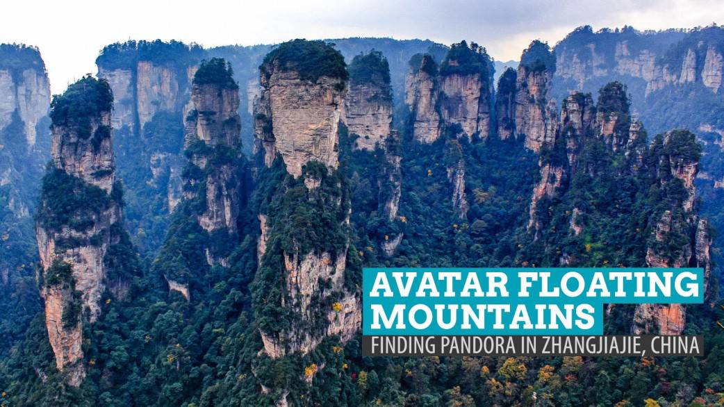 Avatar Floating Mountains Finding Pandora in Zhangjiajie, China The