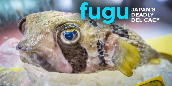 Trying Fugu, Japan’s Deadly Delicacy