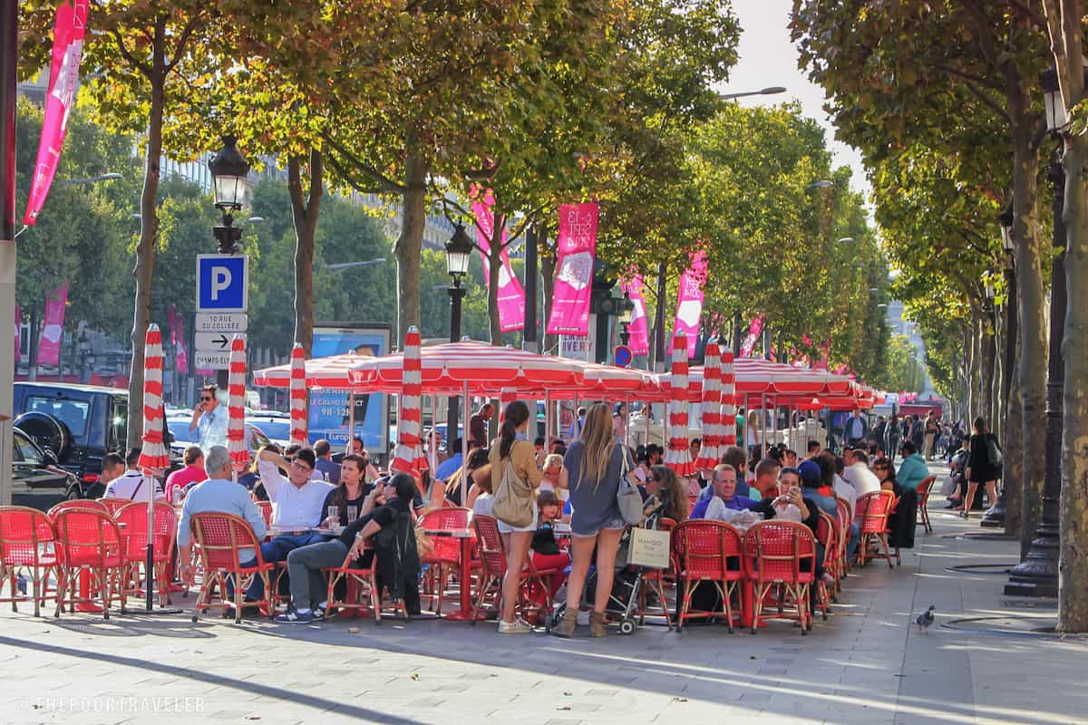 Pavement restaurants amid tree groves