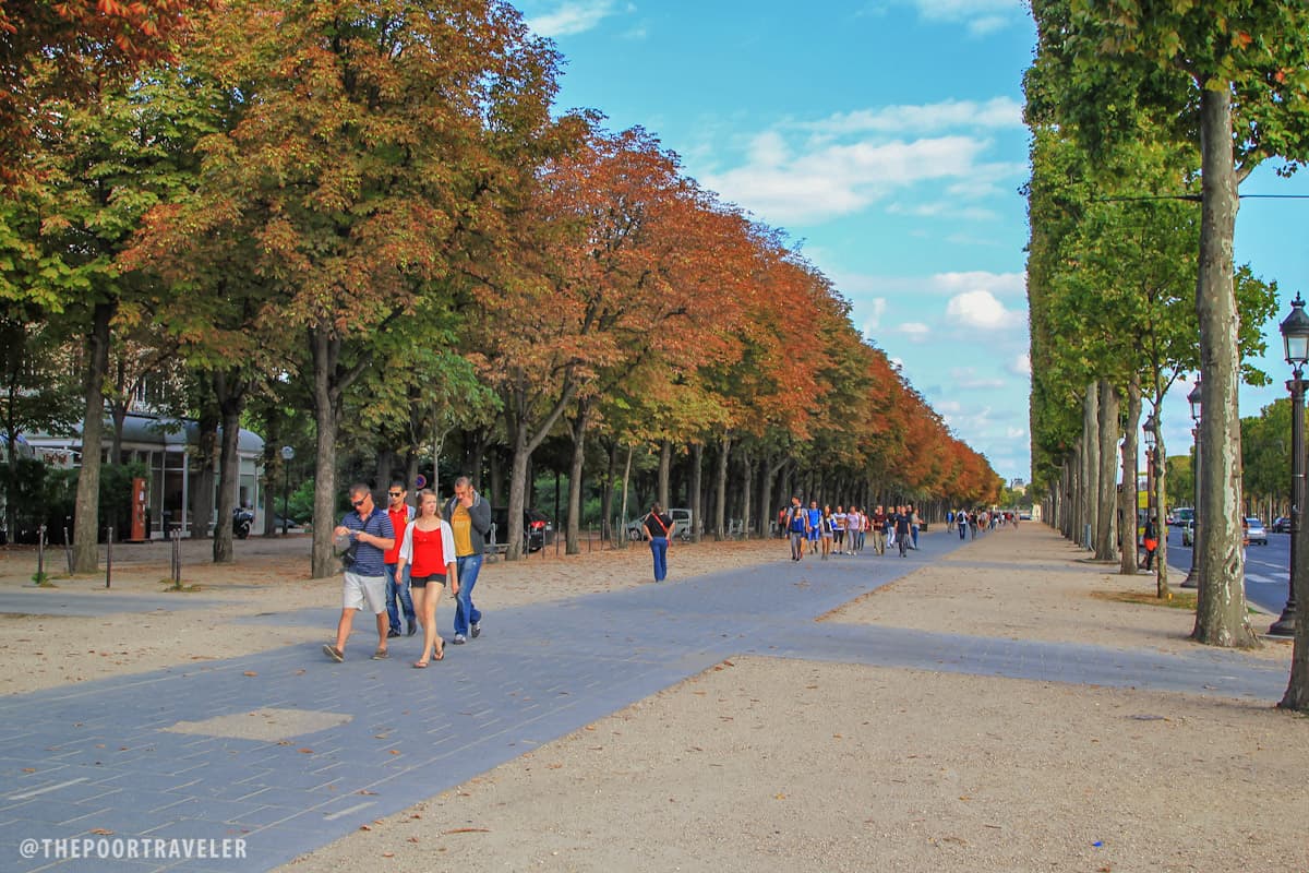 Groves of trees fringing the avenue