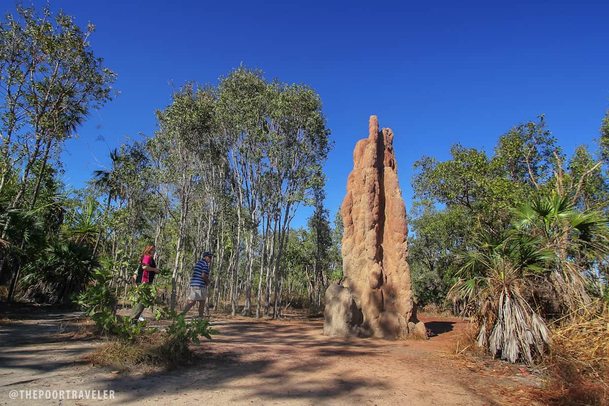 Cathedral Termite Mound. See how tall it is compared to the two tourists next to it?