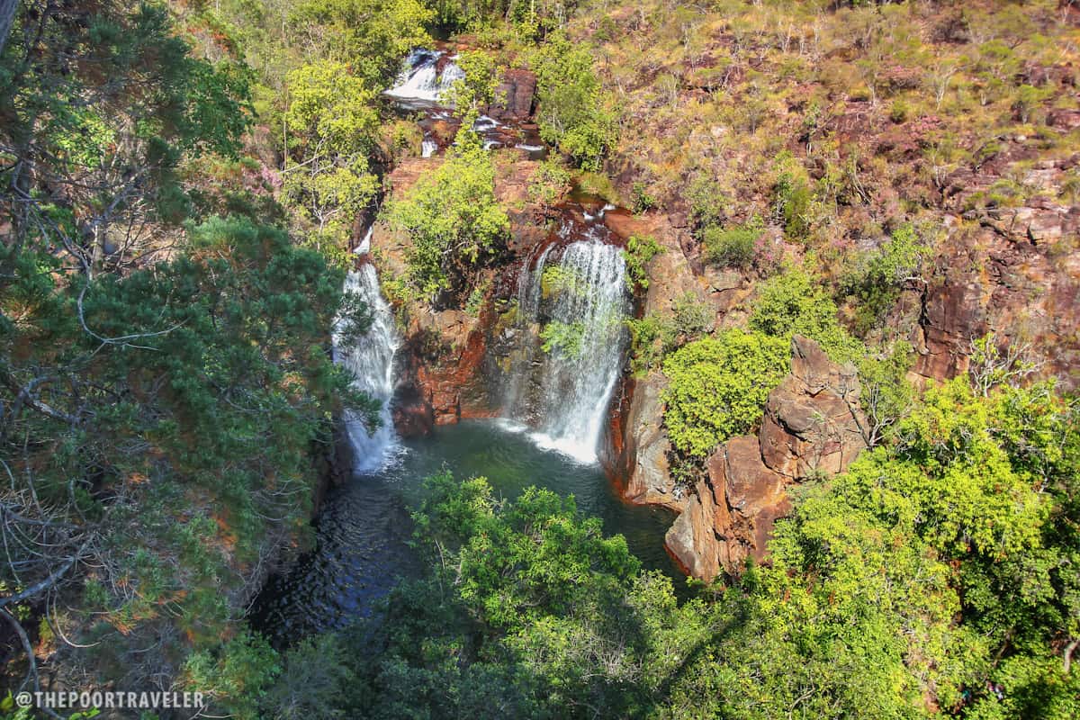 View of the Florence Falls from the viewing deck