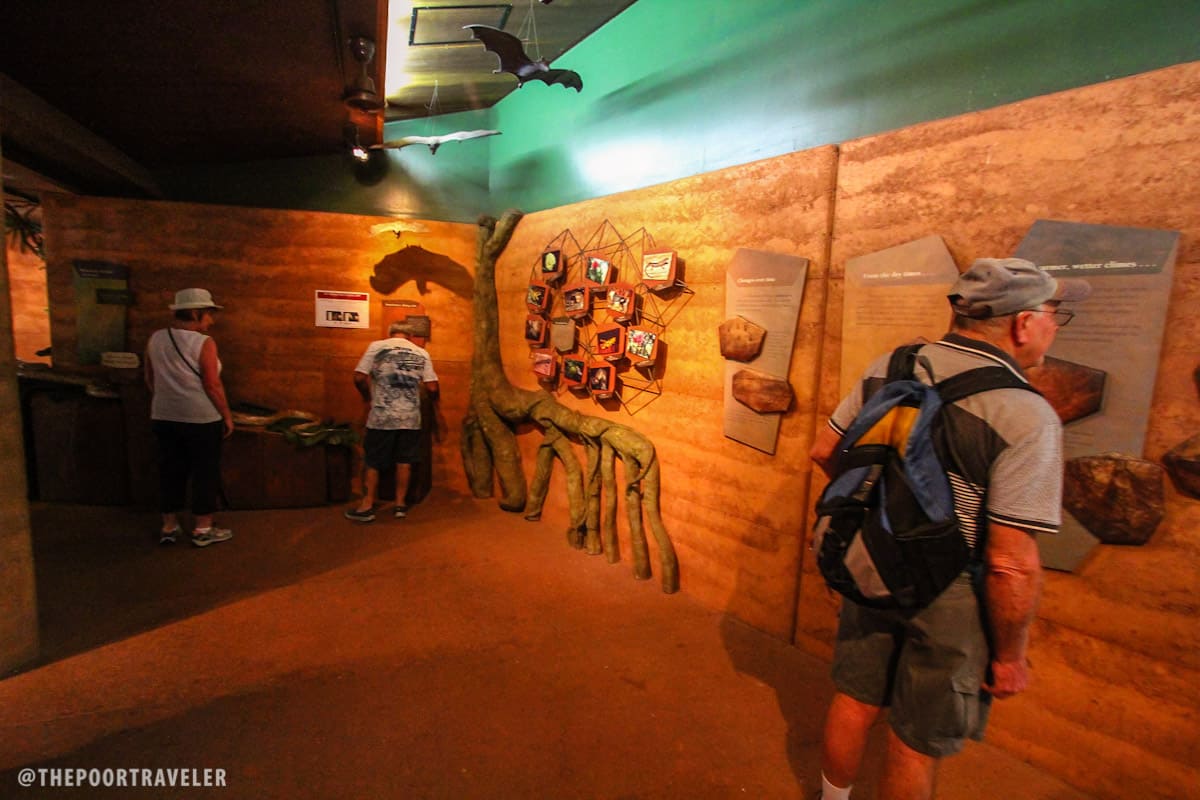 Inside Bowali Visitor Center