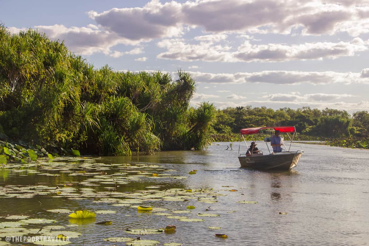 A ranger boat roaming around the wetlands.