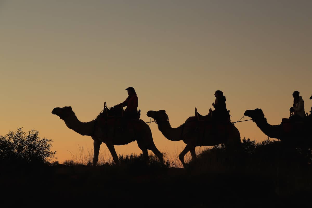 Riding the camel up and down the dunes at sunrise.