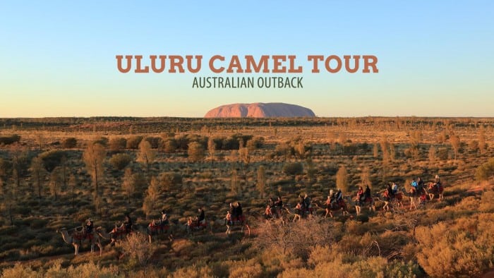 Australian Outback: Uluru Camel Tour at Sunrise