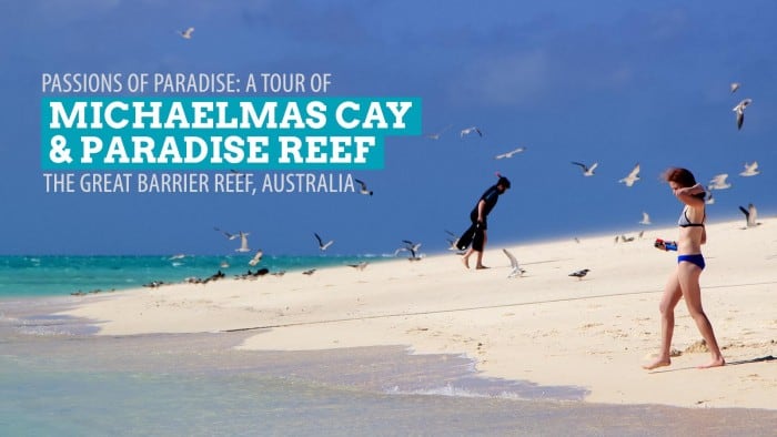 Passions of Paradise: Michaelmas Cay and the Great Barrier Reef, Australia