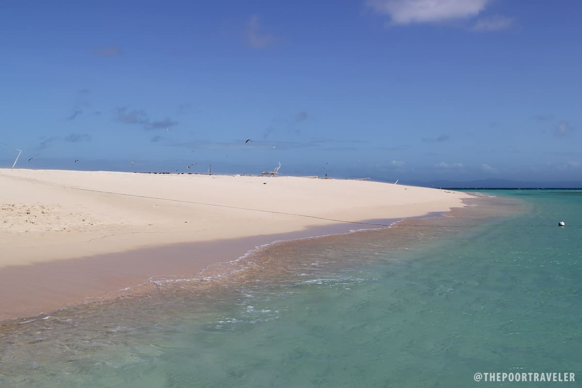 Michaelmas Cay