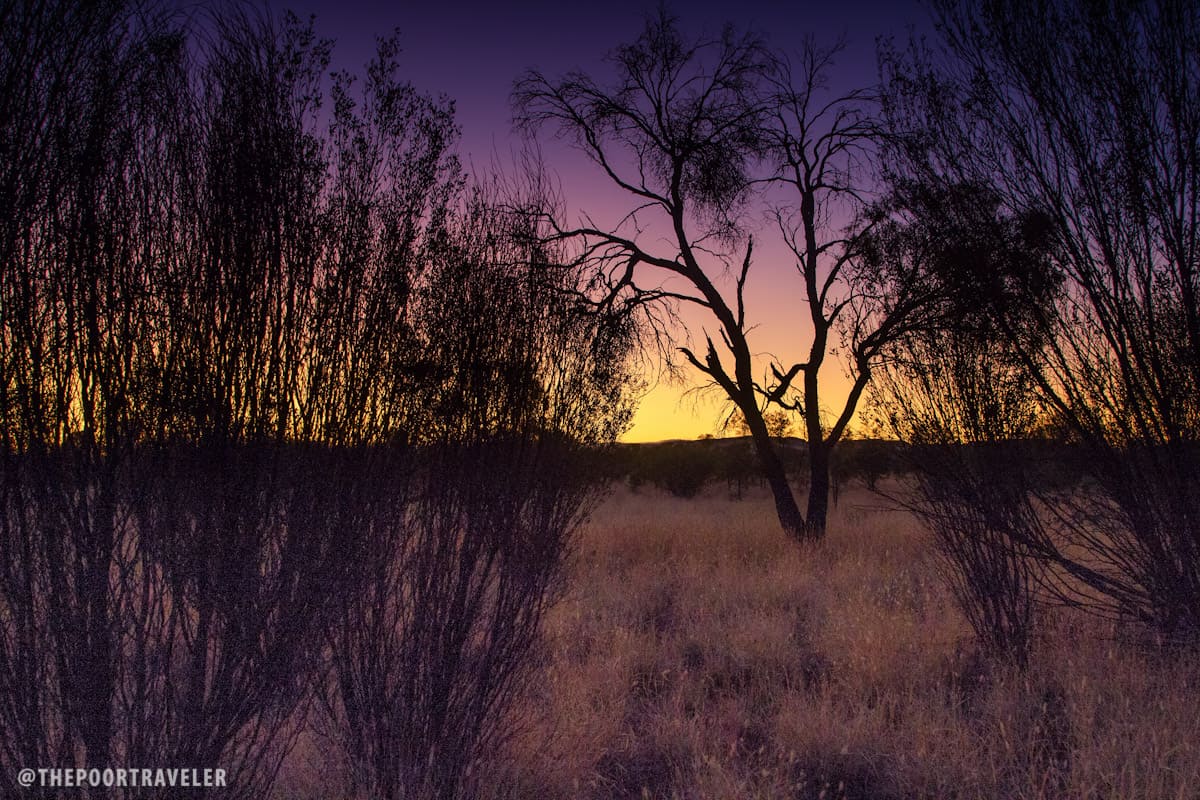 The harsh Outback at sunset