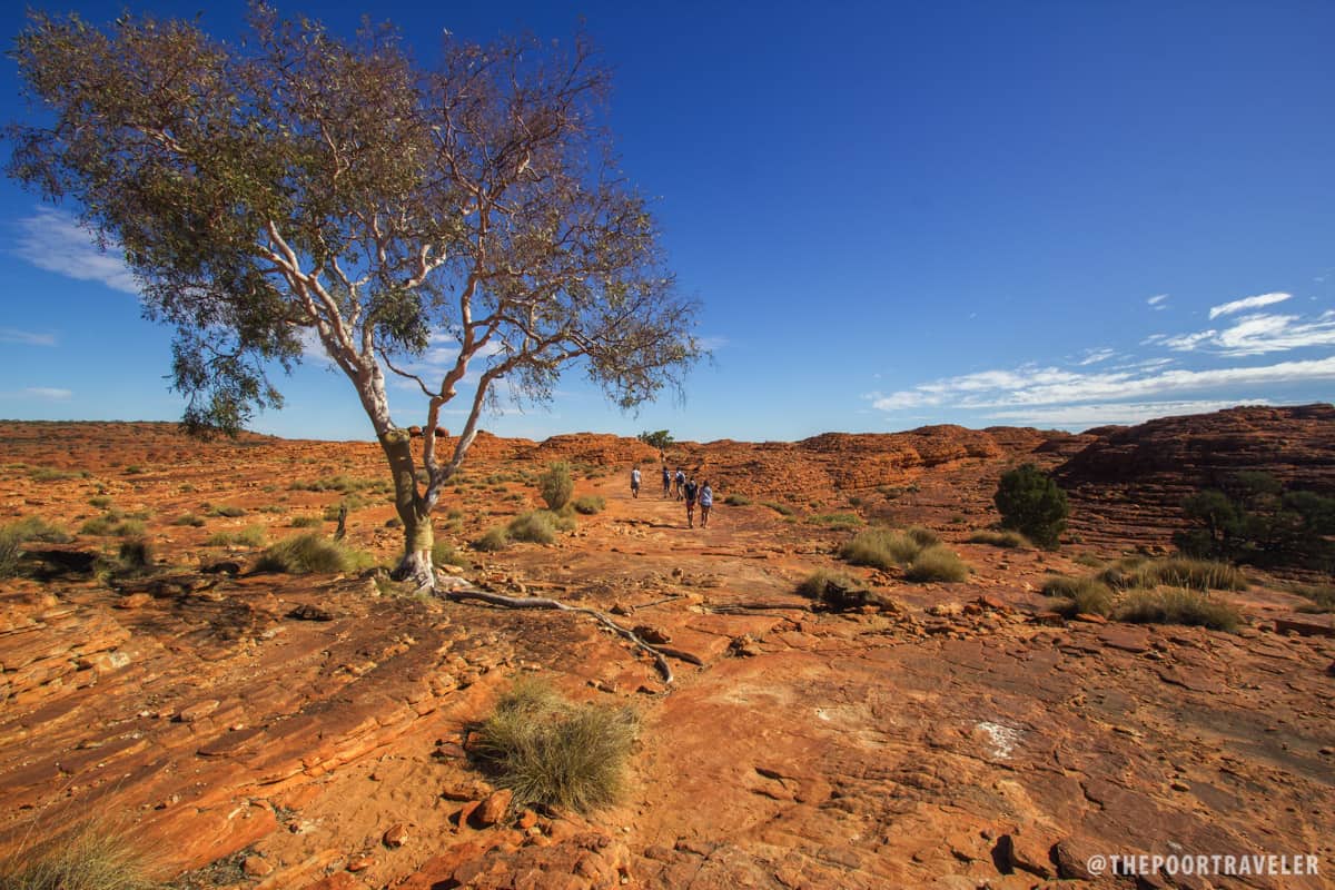 Harsh landscape.