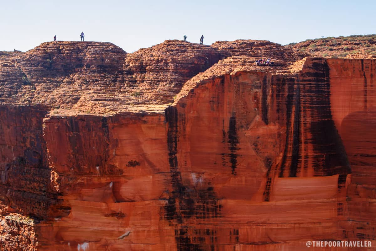 منحدر الحجر الرملي الذي يبلغ ارتفاعه 100 متر في Kings Canyon.