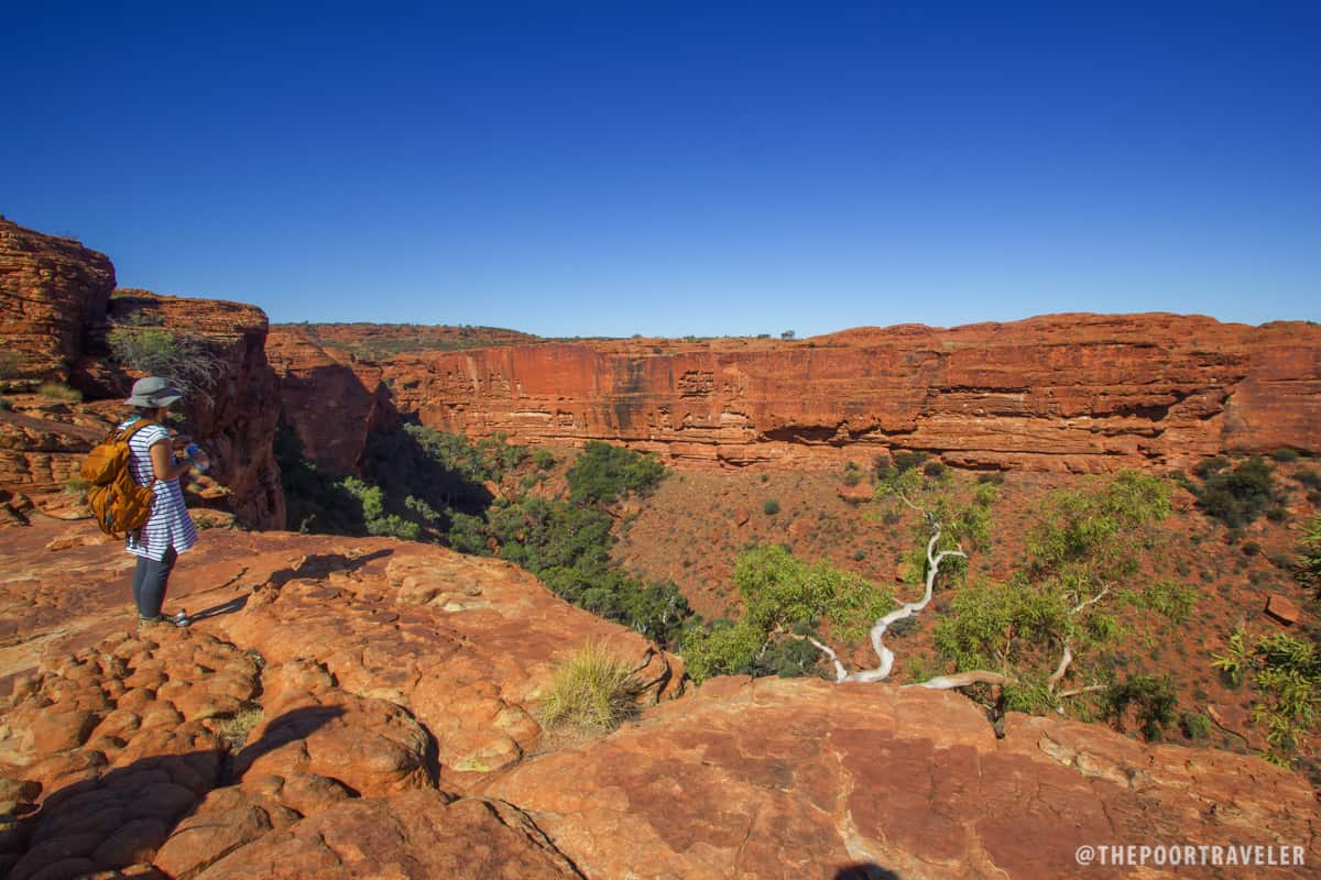 View from the first lookout.