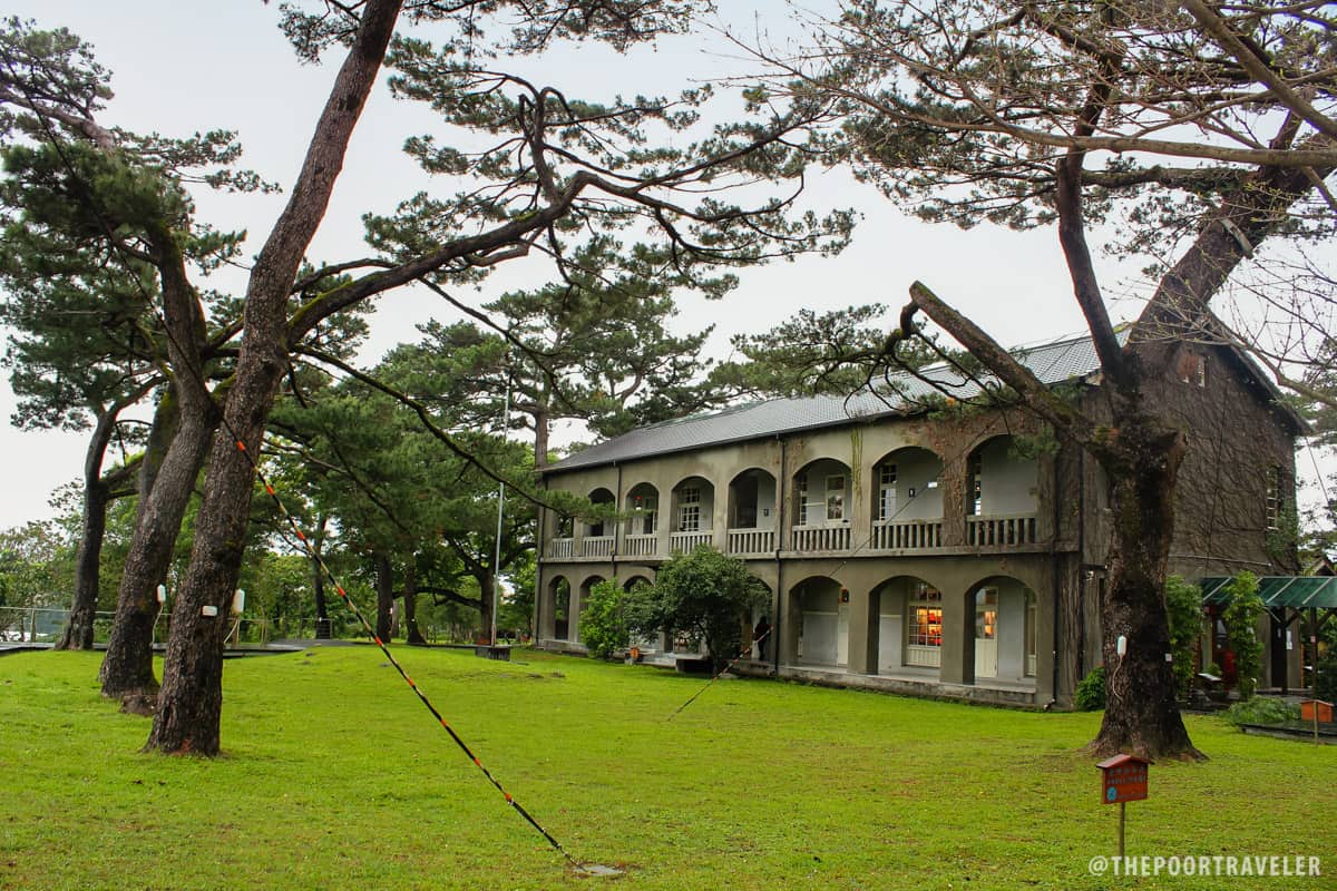 Pine Garden