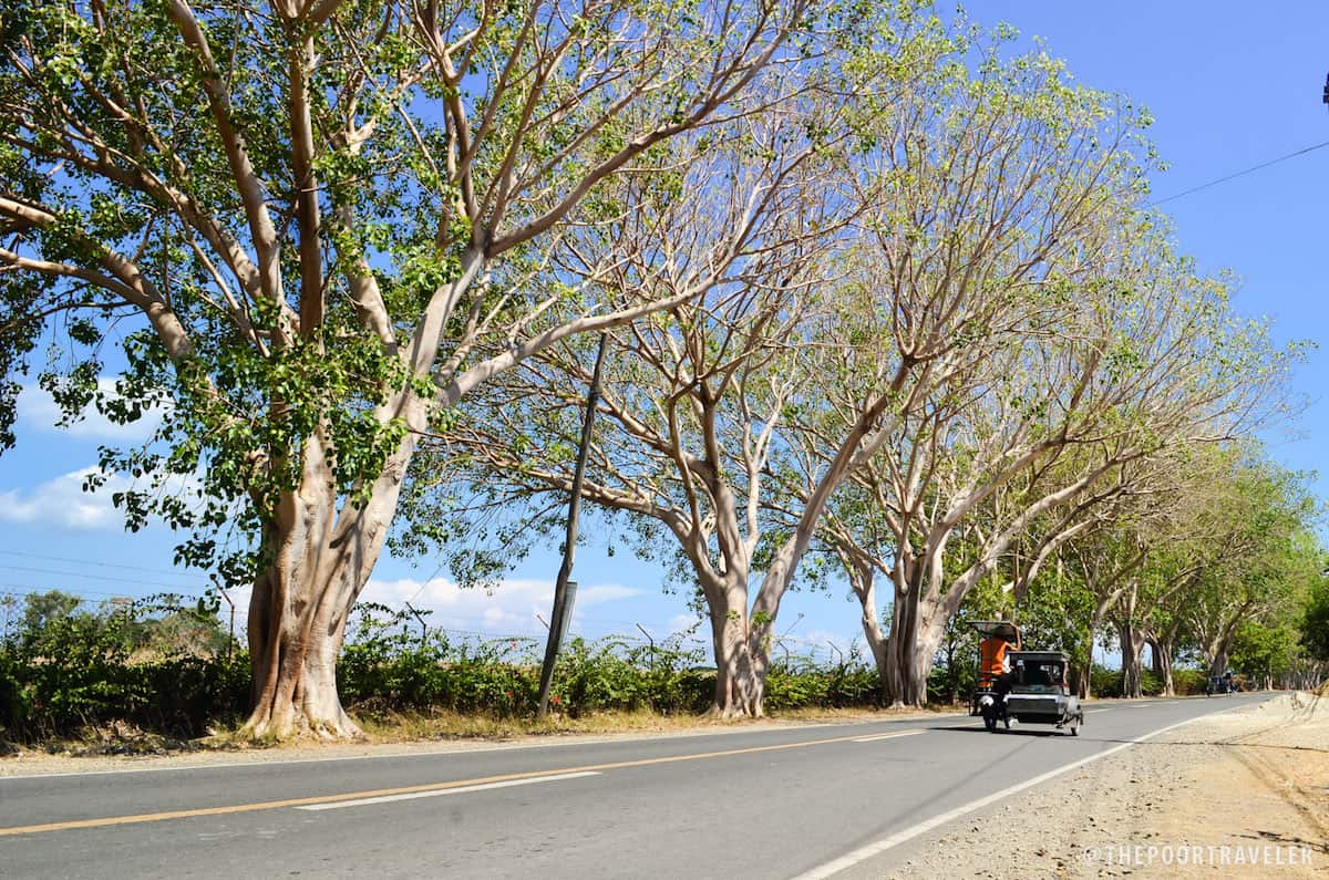 On the way to Burot Beach