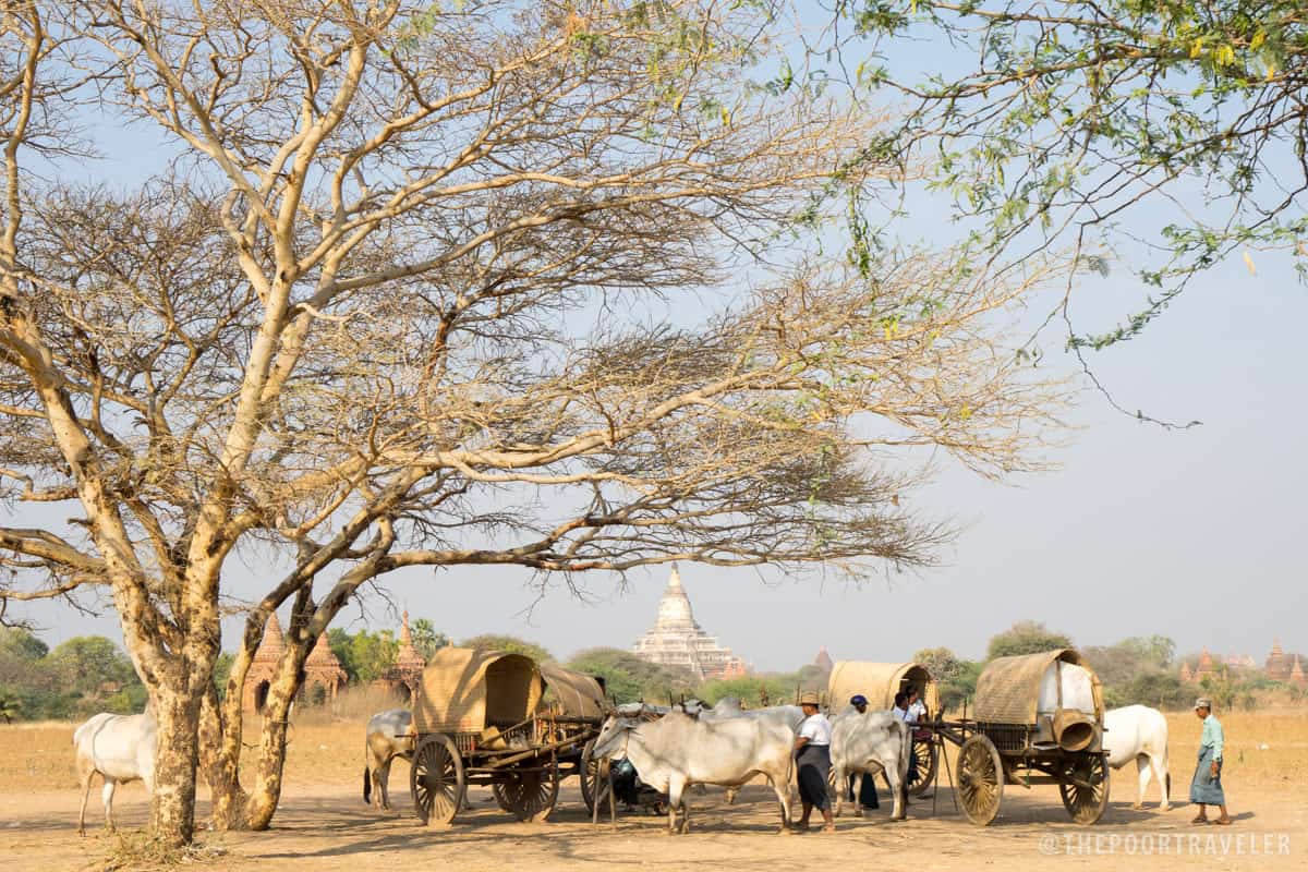 Bagan Locals