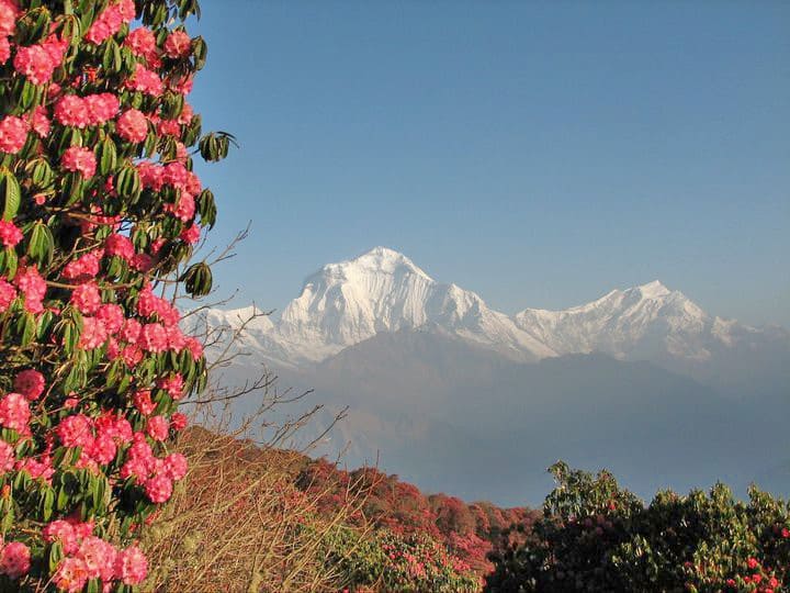 Annapurna