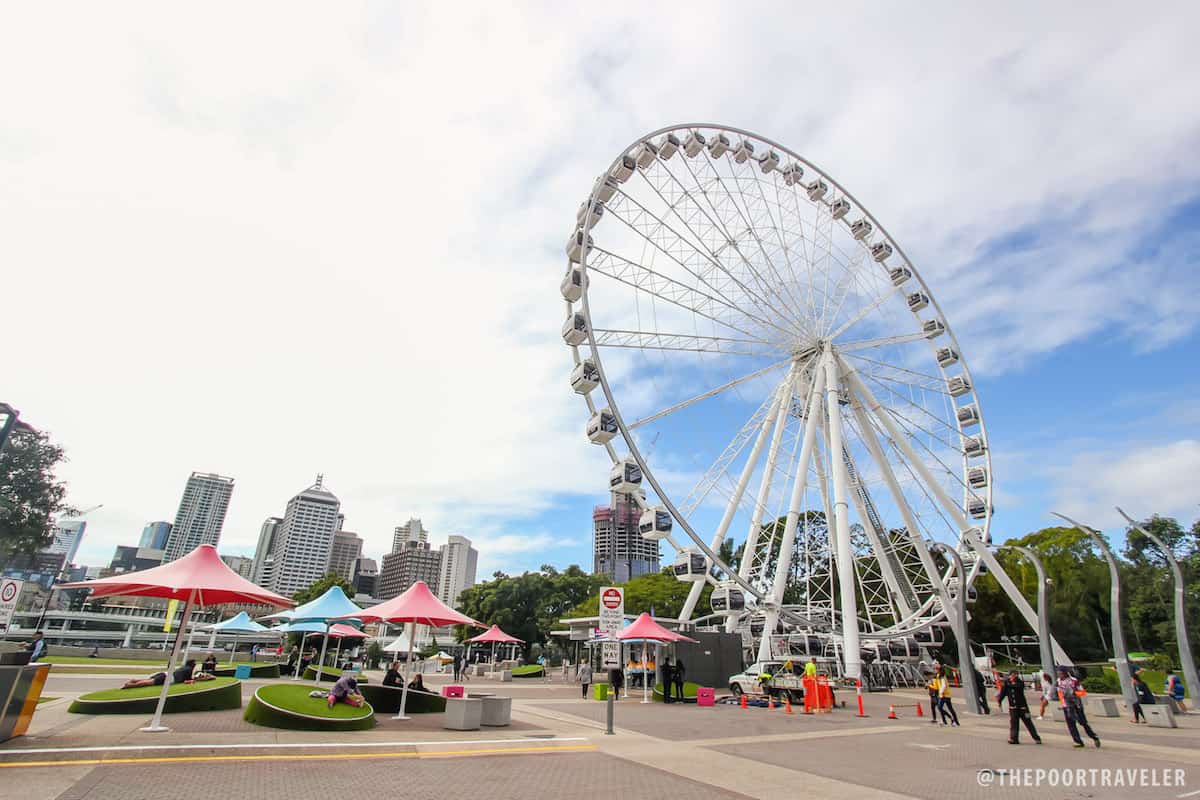 The Wheel of Brisbane