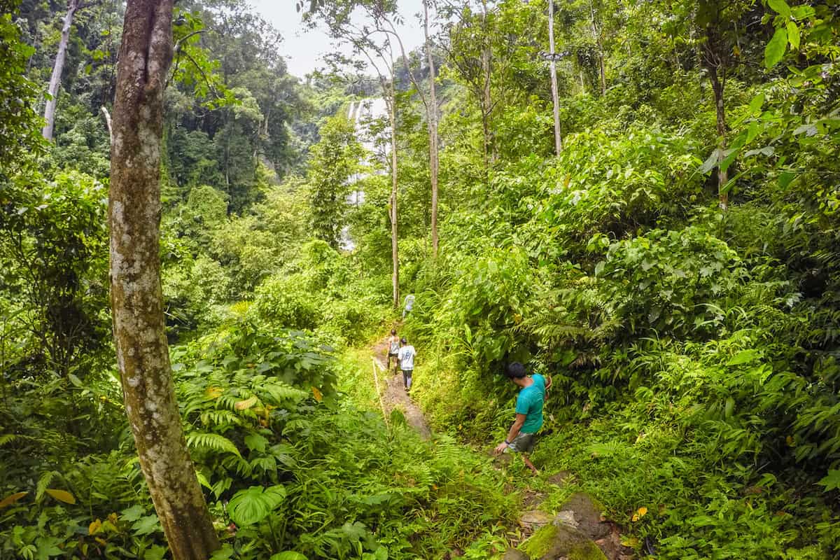 Trail to Hulugan Falls from Hidden Falls