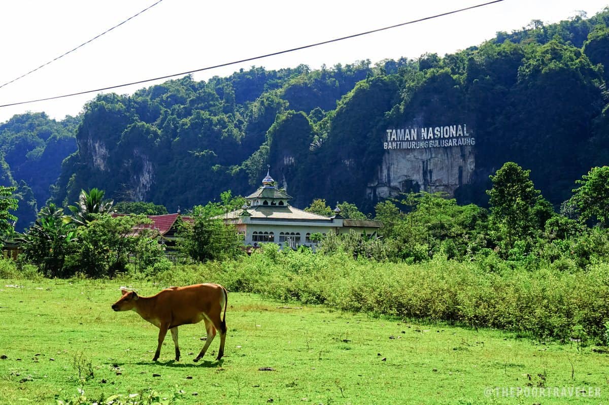 Taman Nasional Bantimurung Bulusaraung