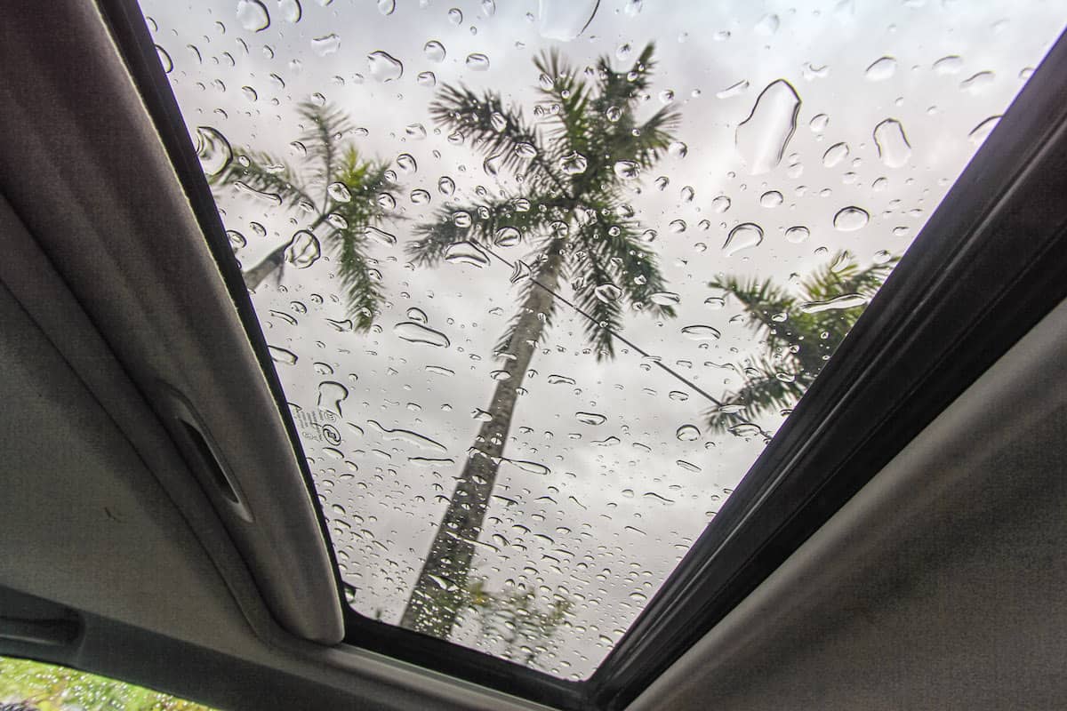 Through Sail's sunroof.