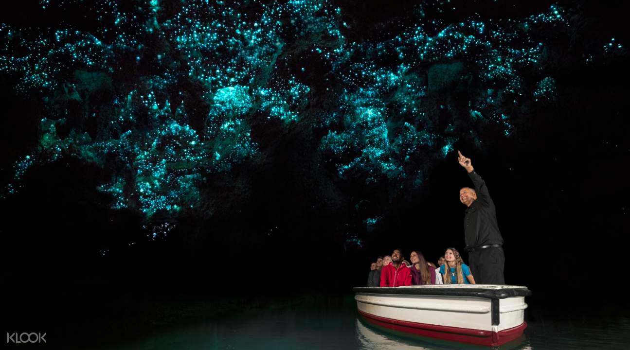 Waitomo Glowworm Caves